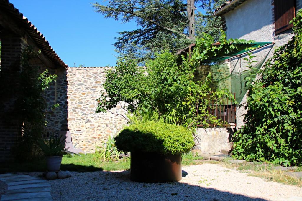 La Ferme Ranc - Gite Le Cosy Gagnières Eksteriør billede